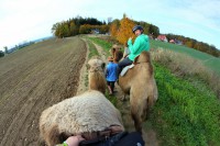 /album/fotogalerie-velbloudi-raj-zahostice/kratsi-jizda-velbloudi-jpg1/